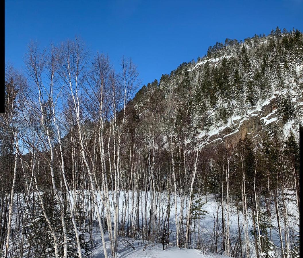 Condo Mont-Edouard LʼAnse-Saint-Jean Extérieur photo